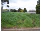 Lot 114, 114 Emily Street, Millicent SA 5280