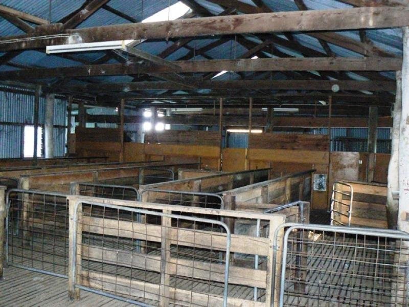 Sec 90 Robe-Penola Road, Penola SA 5277