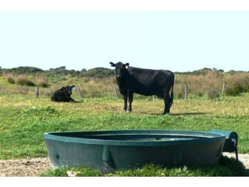 Lot 12 Bog Lane, Beachport SA 5280