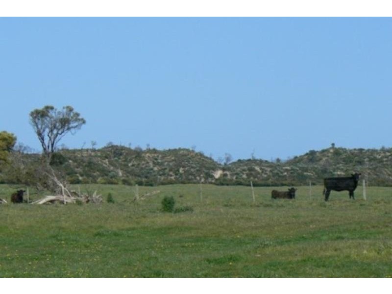 Lot 12 Bog Lane, Beachport SA 5280