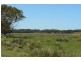 Lot 12 Bog Lane, Beachport SA 5280