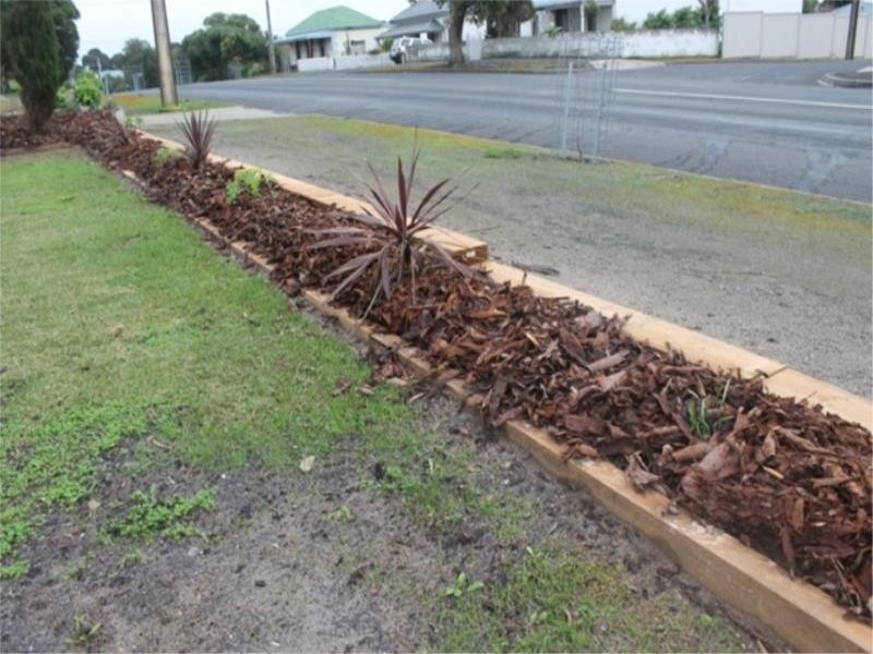 41 Williams Road, Millicent SA 5280