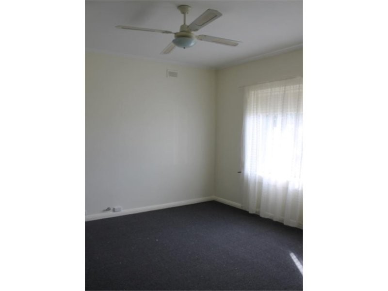 41 Williams Road, Millicent SA 5280