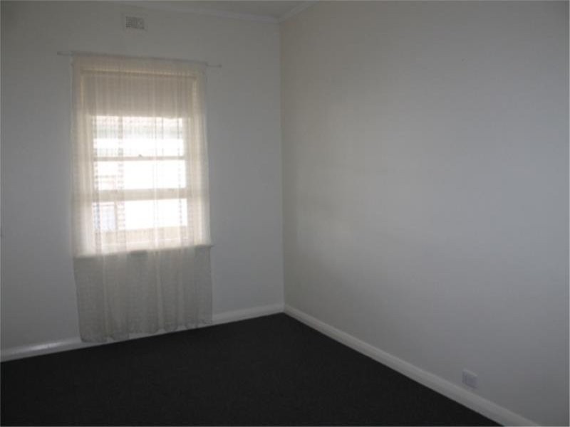 41 Williams Road, Millicent SA 5280