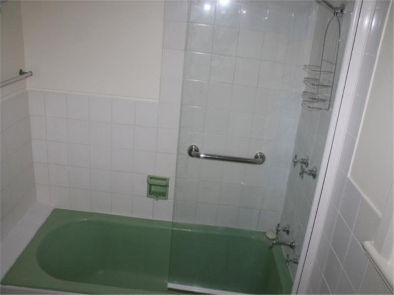 41 Williams Road, Millicent SA 5280