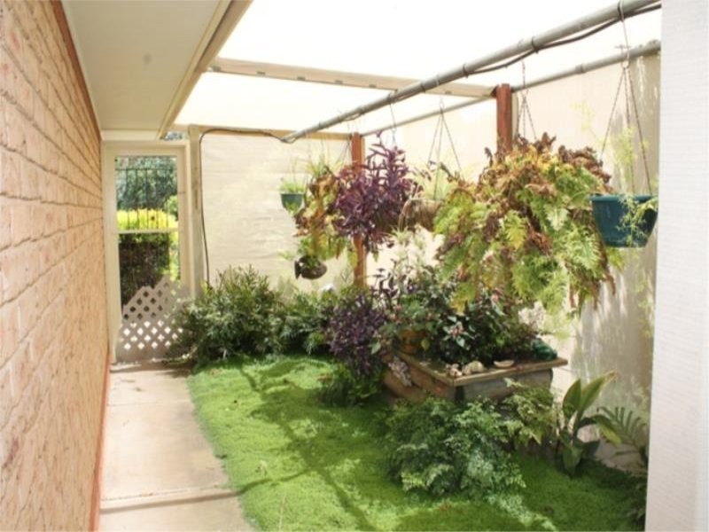 21 Wattle Road, Millicent SA 5280