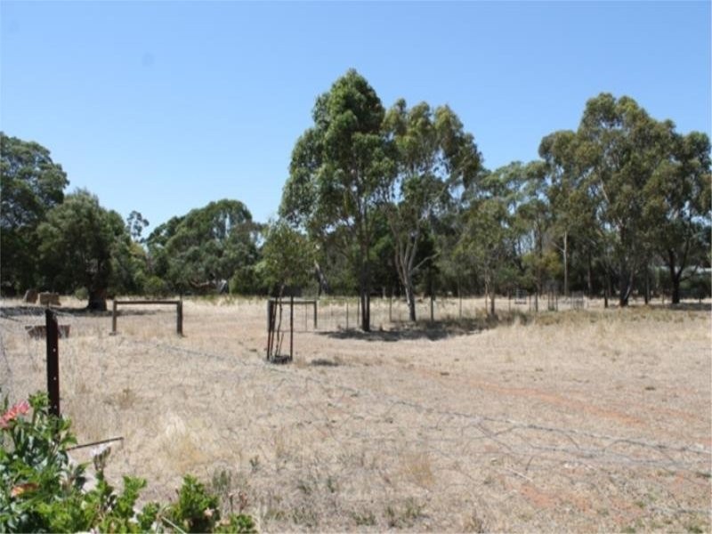 21 Wattle Road, Millicent SA 5280