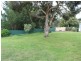 551 Mount Burr Road, Millicent SA 5280