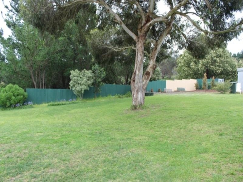 551 Mount Burr Road, Millicent SA 5280