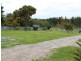 551 Mount Burr Road, Millicent SA 5280