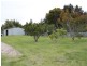 551 Mount Burr Road, Millicent SA 5280