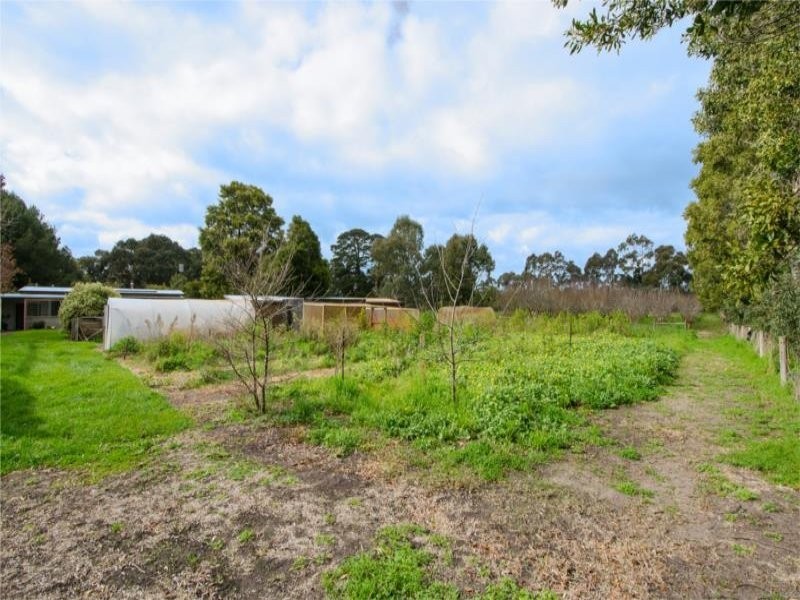 19590 Riddoch Highway, Mount Gambier SA 5290