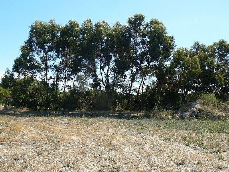 13 Douglas Dawson Track, Robe SA 5276