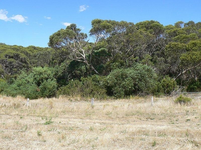 13 Douglas Dawson Track, Robe SA 5276