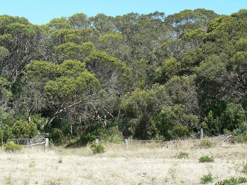 13 Douglas Dawson Track, Robe SA 5276