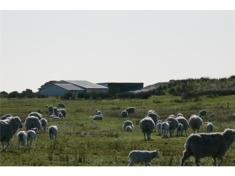 8930 Southern Ports Highway, Beachport SA 5280