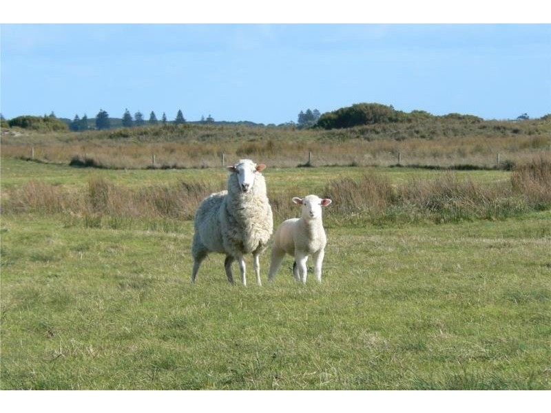 8930 Southern Ports Highway, Beachport SA 5280