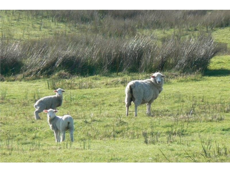 8930 Southern Ports Highway, Beachport SA 5280