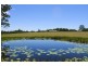 95 Owens Access, Collombatti NSW 2440