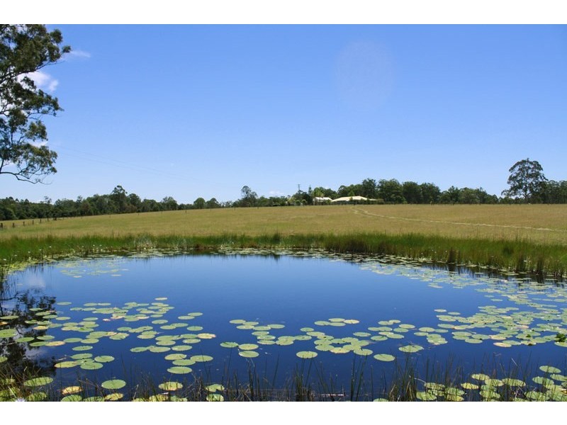95 Owens Access, Collombatti NSW 2440