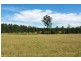 95 Owens Access, Collombatti NSW 2440