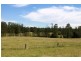 95 Owens Access, Collombatti NSW 2440