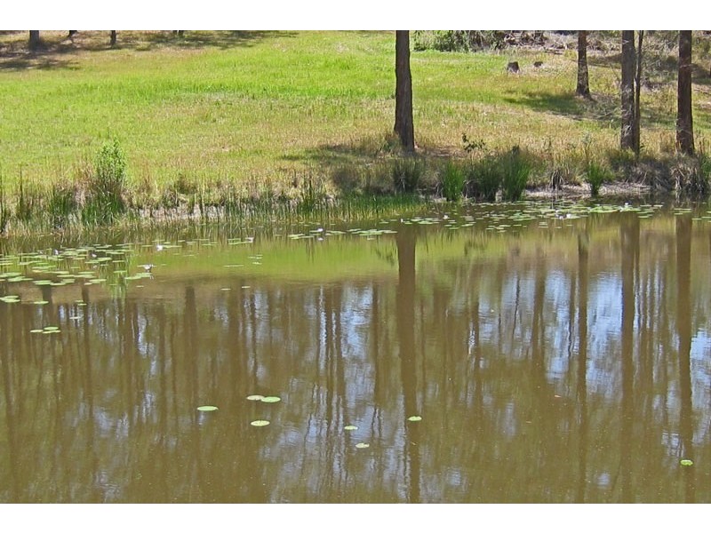 450 Jacks Crossing, Skillion Flat NSW 2440