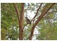 Lot 5,  Toose Road, Bellbrook NSW 2440