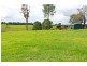8 Ronella Drive, Aldavilla NSW 2440
