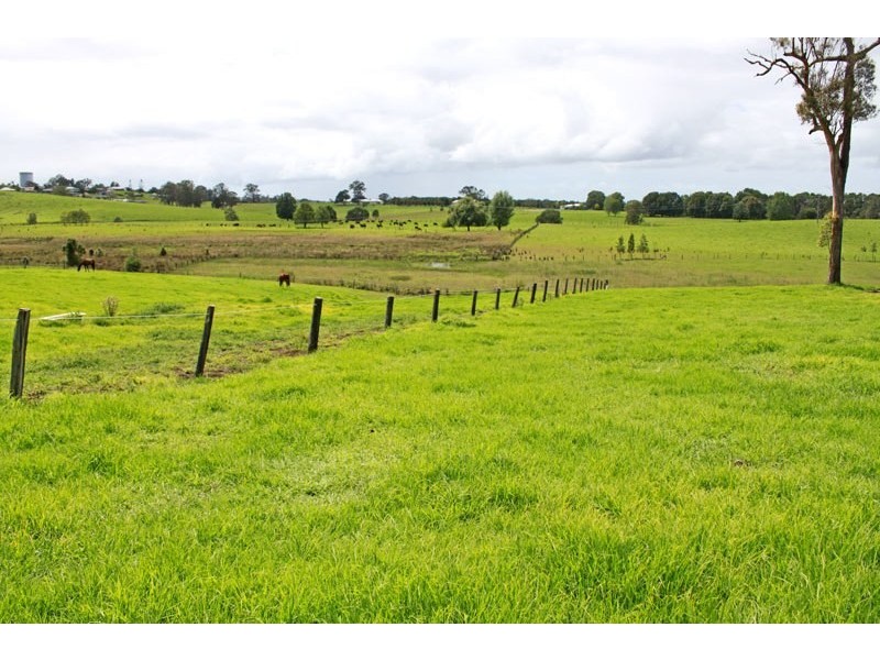 8 Ronella Drive, Aldavilla NSW 2440