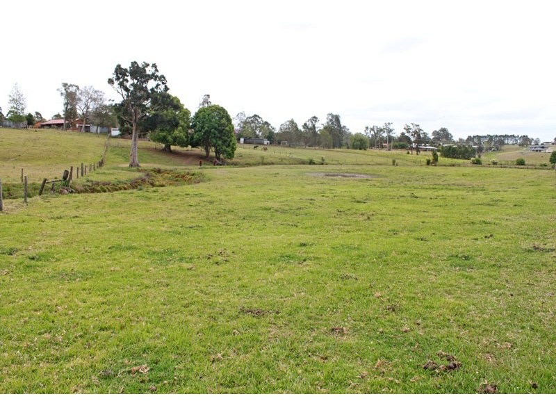 8 Ronella Drive, Aldavilla NSW 2440