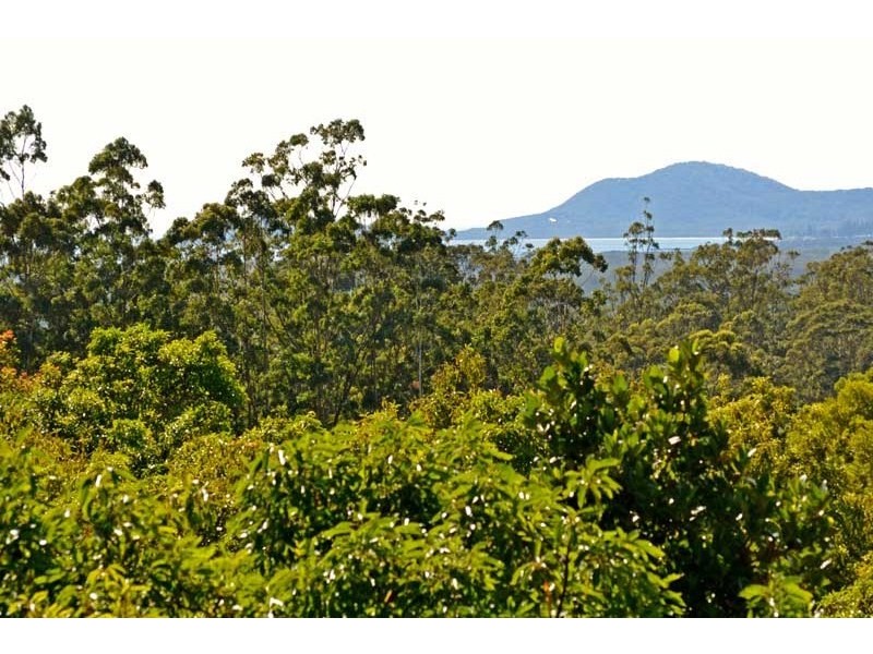 338 Mighell Road, Yarrahapinni NSW 2441