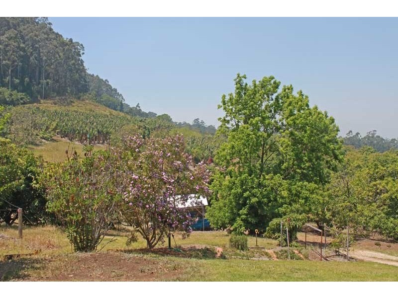 338 Mighell Road, Yarrahapinni NSW 2441