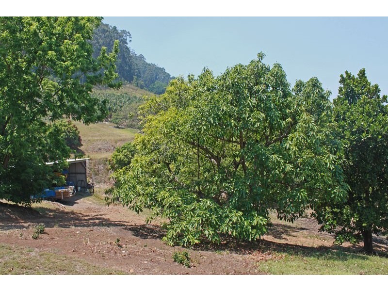 338 Mighell Road, Yarrahapinni NSW 2441