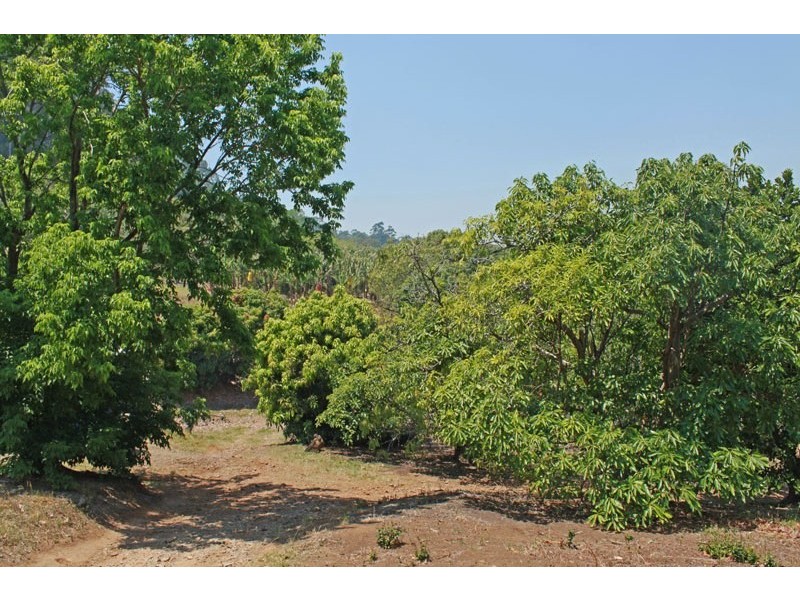 338 Mighell Road, Yarrahapinni NSW 2441