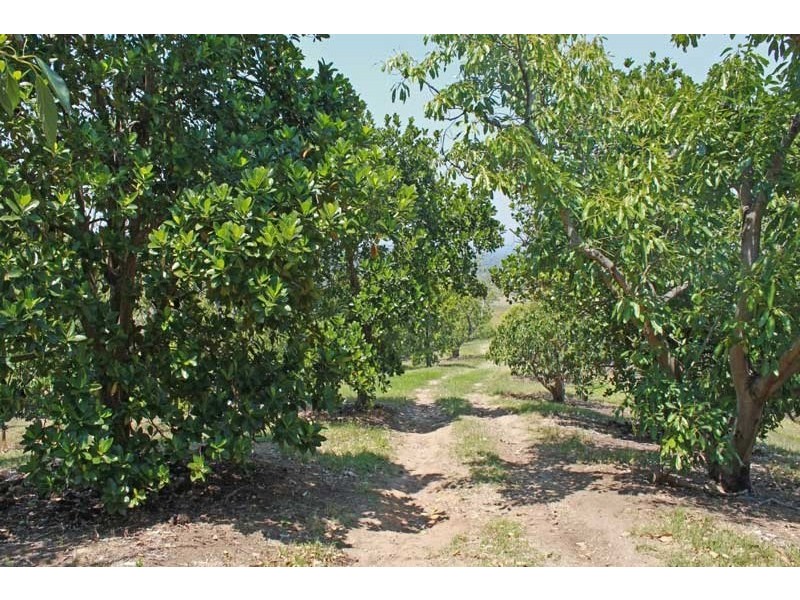 338 Mighell Road, Yarrahapinni NSW 2441