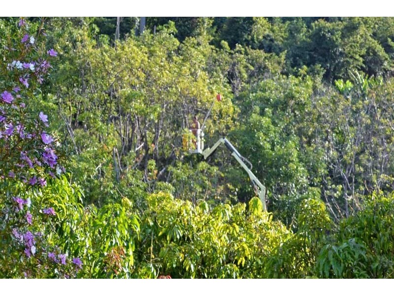 338 Mighell Road, Yarrahapinni NSW 2441