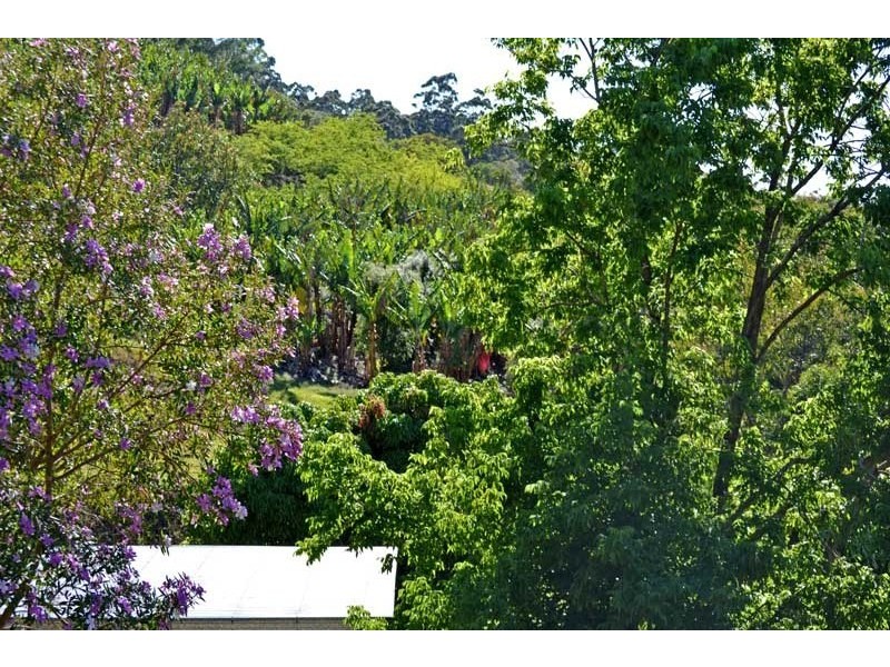 338 Mighell Road, Yarrahapinni NSW 2441