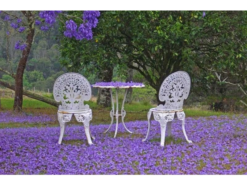 201 Sundowner Road, Millbank NSW 2440