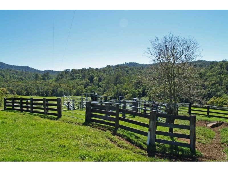 201 Sundowner Road, Millbank NSW 2440