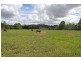 21 Chain O’ Ponds Road, Collombatti NSW 2440