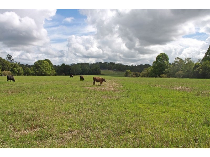 21 Chain O’ Ponds Road, Collombatti NSW 2440