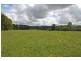 21 Chain O’ Ponds Road, Collombatti NSW 2440