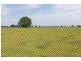 998 Pacific Highway, Bellimbopinni NSW 2440