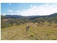 Lot 73, Fifes Creek Road, Toorooka NSW 2440