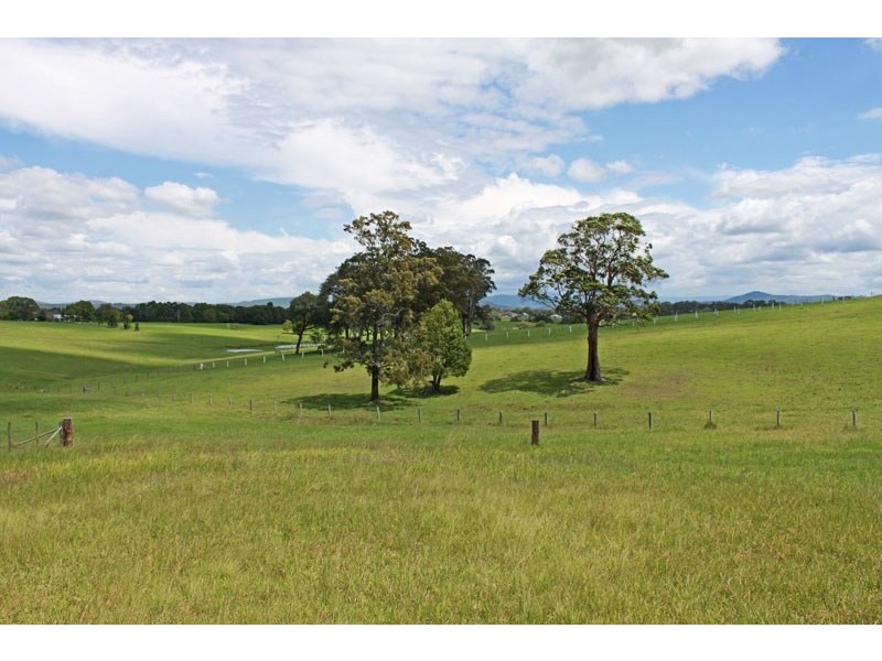 Lot 17, 11 Springfields Drive, Greenhill NSW 2440