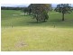 Lot 17, 11 Springfields Drive, Greenhill NSW 2440