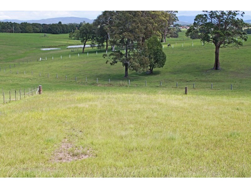 Lot 17, 11 Springfields Drive, Greenhill NSW 2440