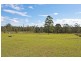 509 Spooners Avenue, Collombatti NSW 2440