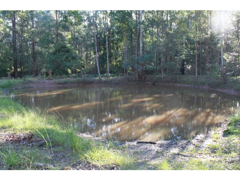 49 Brushbox Crescent, Yarravel NSW 2440